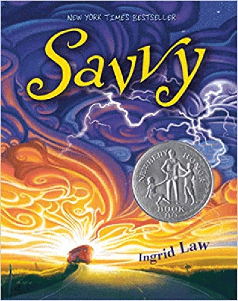 Image for Savvy