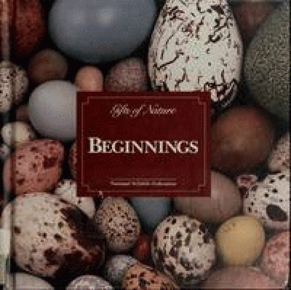Image for Beginnings (Gifts of Nature)