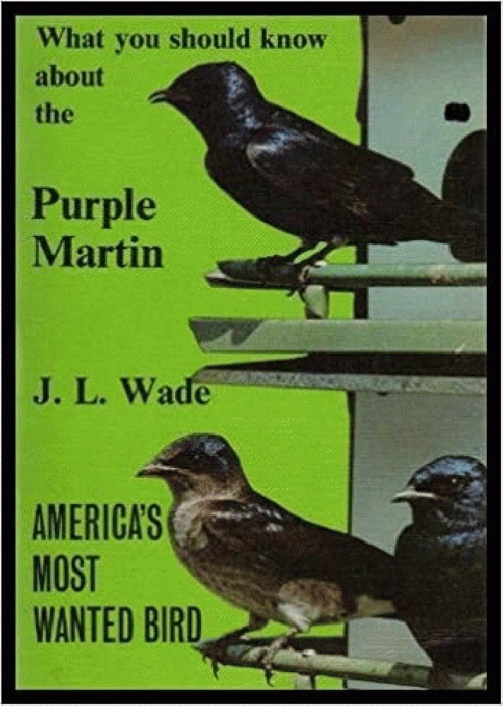 Image for What You Should Know about the Purple Martin: America's Most Wanted Bird